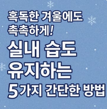 혹독한 겨울에도 촉촉하게! 실내 습도 유지하는 5가지 간단한 방법