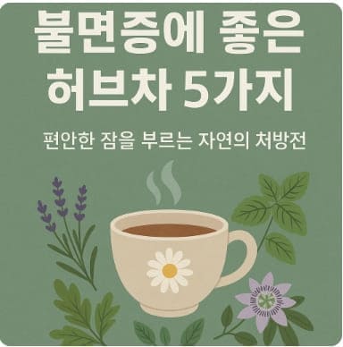 불면증에 좋은 허브차 5가지 – 편안한 잠을 부르는 자연의 처방전