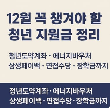 12월 꼭 챙겨야 할 청년 지원금 정리 l청년도약계좌 · 에너지바우처 · 상생페이백 · 면접수당 · 장학금까지